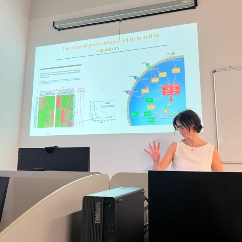 Presentazione Prof. Carro al Seminario Insubria