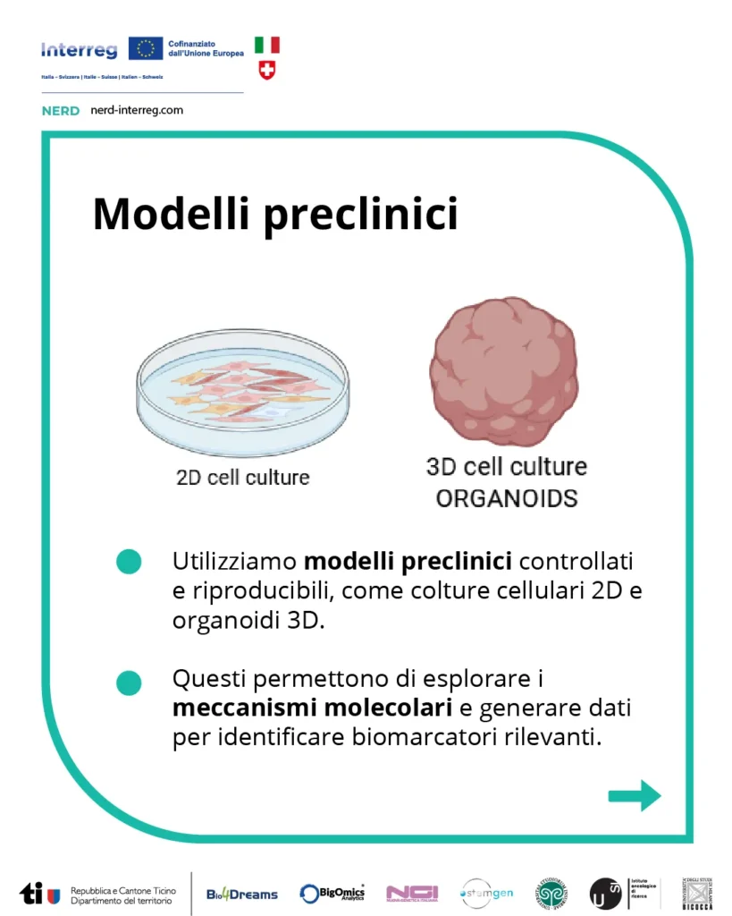 Modelli preclinici 2D e organoidi 3D utilizzati per studiare i tumori