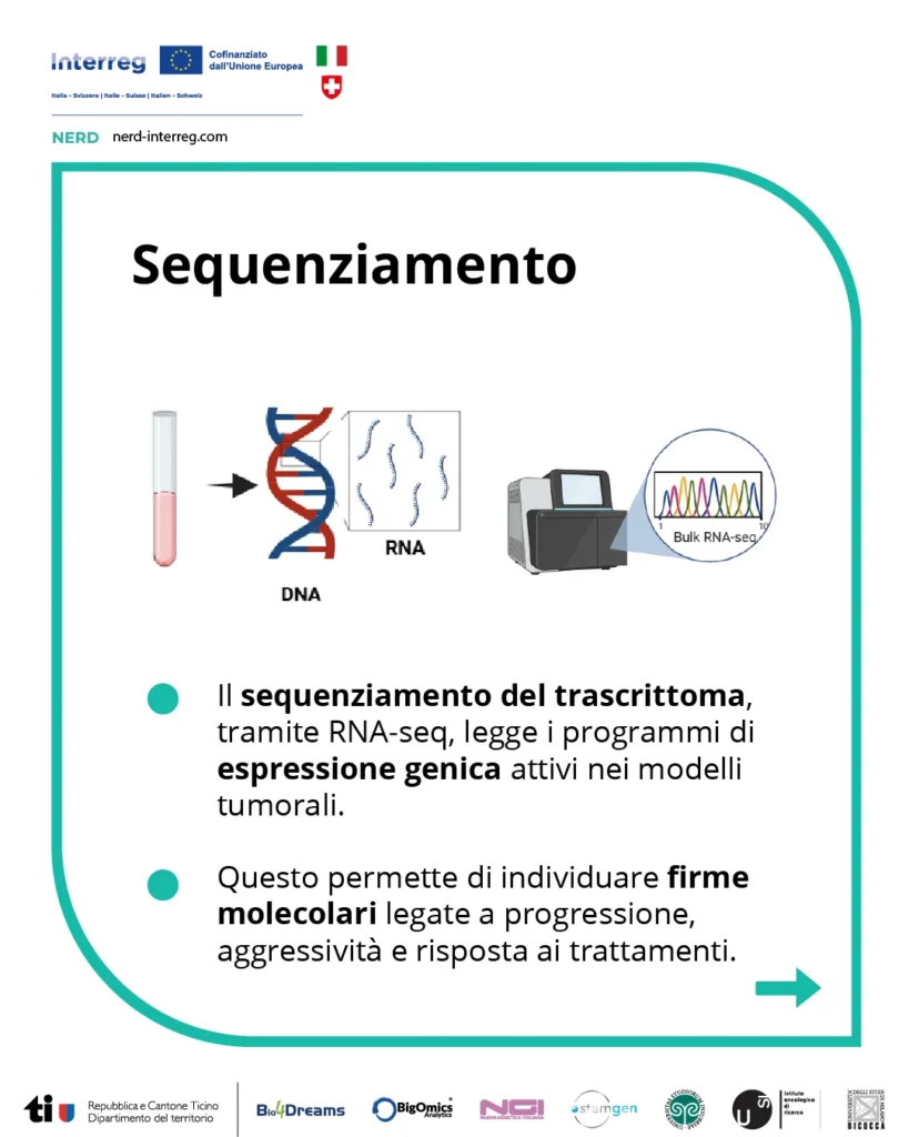 Analisi del trascrittoma tramite RNA-seq nei modelli tumorali