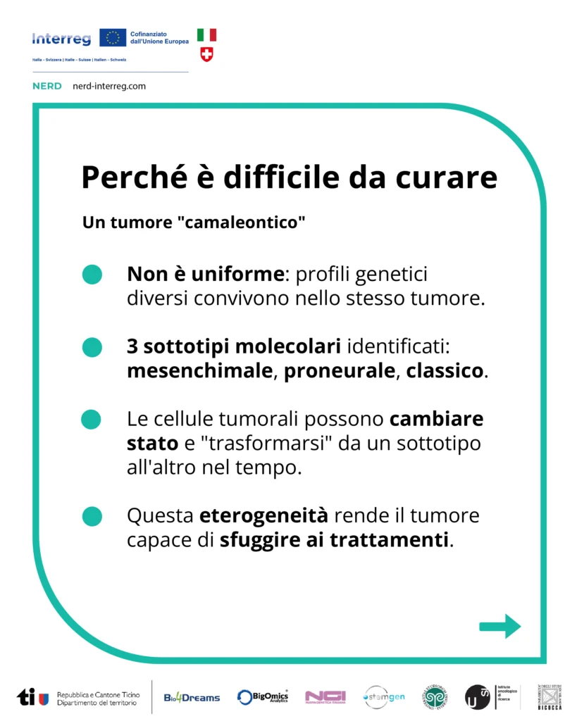 Pillole Progetto NERD (Interreg) - Glioblastoma 3
