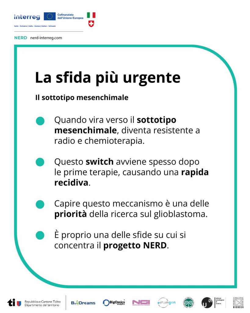 Pillole Progetto NERD (Interreg) - Glioblastoma 4